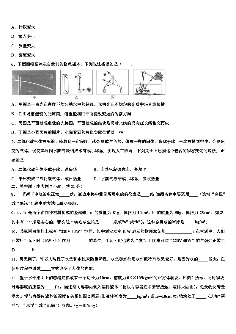 2026届张掖市中考物理四模试卷（含答案解析）第2页