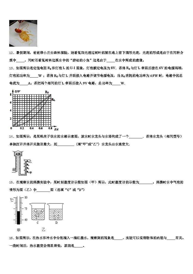 赣州市2026年中考物理押题卷（含答案解析）第3页