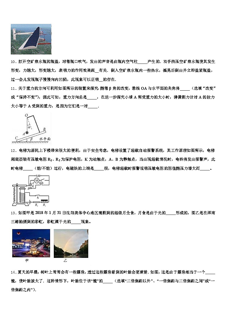2025-2026学年辽宁省中考物理模拟预测试卷（含答案解析）第3页