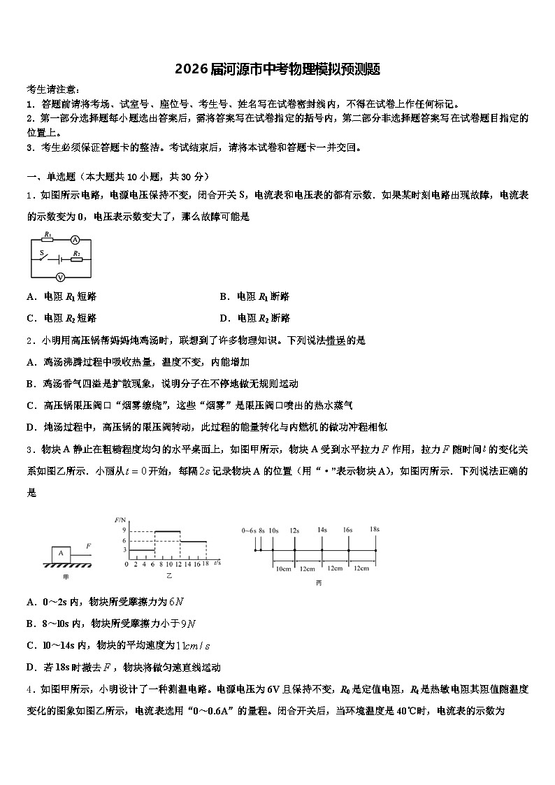2026届河源市中考物理模拟预测题（含答案解析）第1页