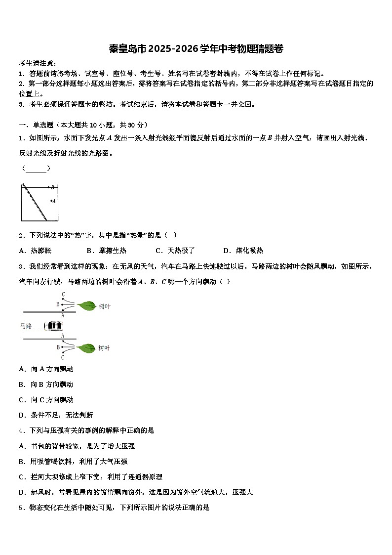 秦皇岛市2025-2026学年中考物理猜题卷（含答案解析）第1页