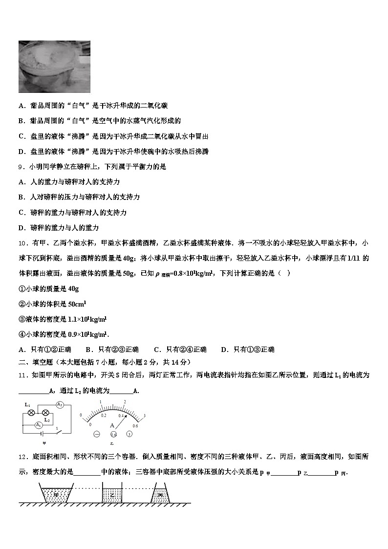 陕西省延安市2025-2026学年中考物理考试模拟冲刺卷（含答案解析）第3页