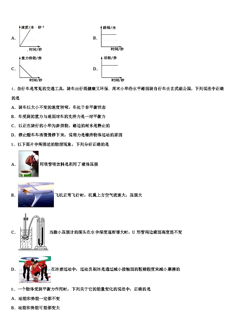 牡丹江市2025-2026学年中考物理最后冲刺浓缩精华卷（含答案解析）第2页