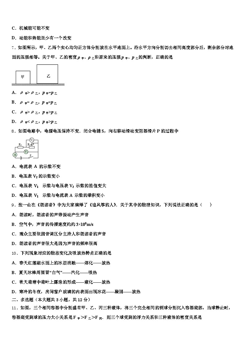牡丹江市2025-2026学年中考物理最后冲刺浓缩精华卷（含答案解析）第3页