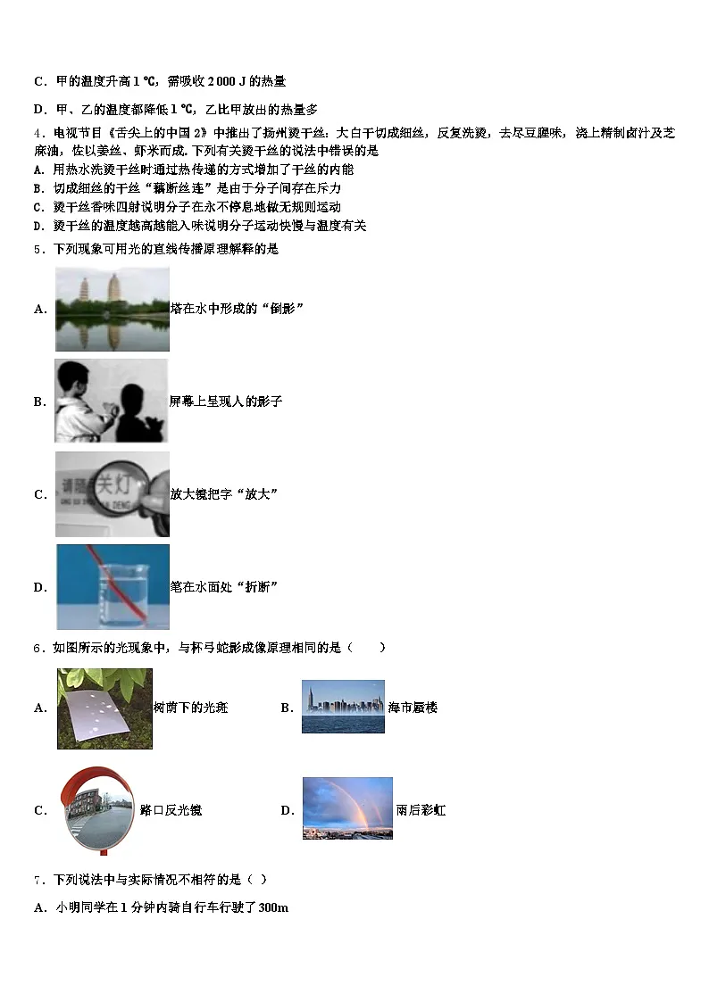 2026届新疆维吾尔自治区乌鲁木齐市中考适应性考试物理试题（含答案解析）第2页