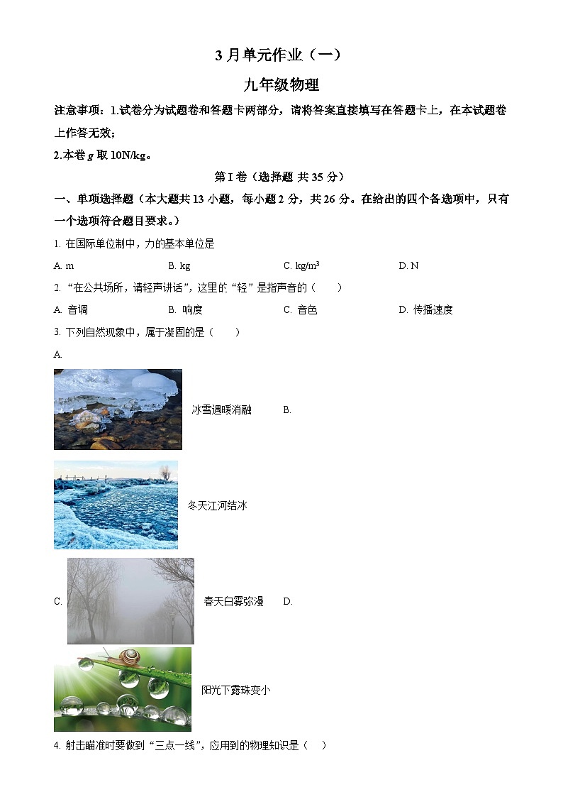 广西南宁天桃教育集团九年级下学期3月月考物理试题（原卷版）-A4第1页