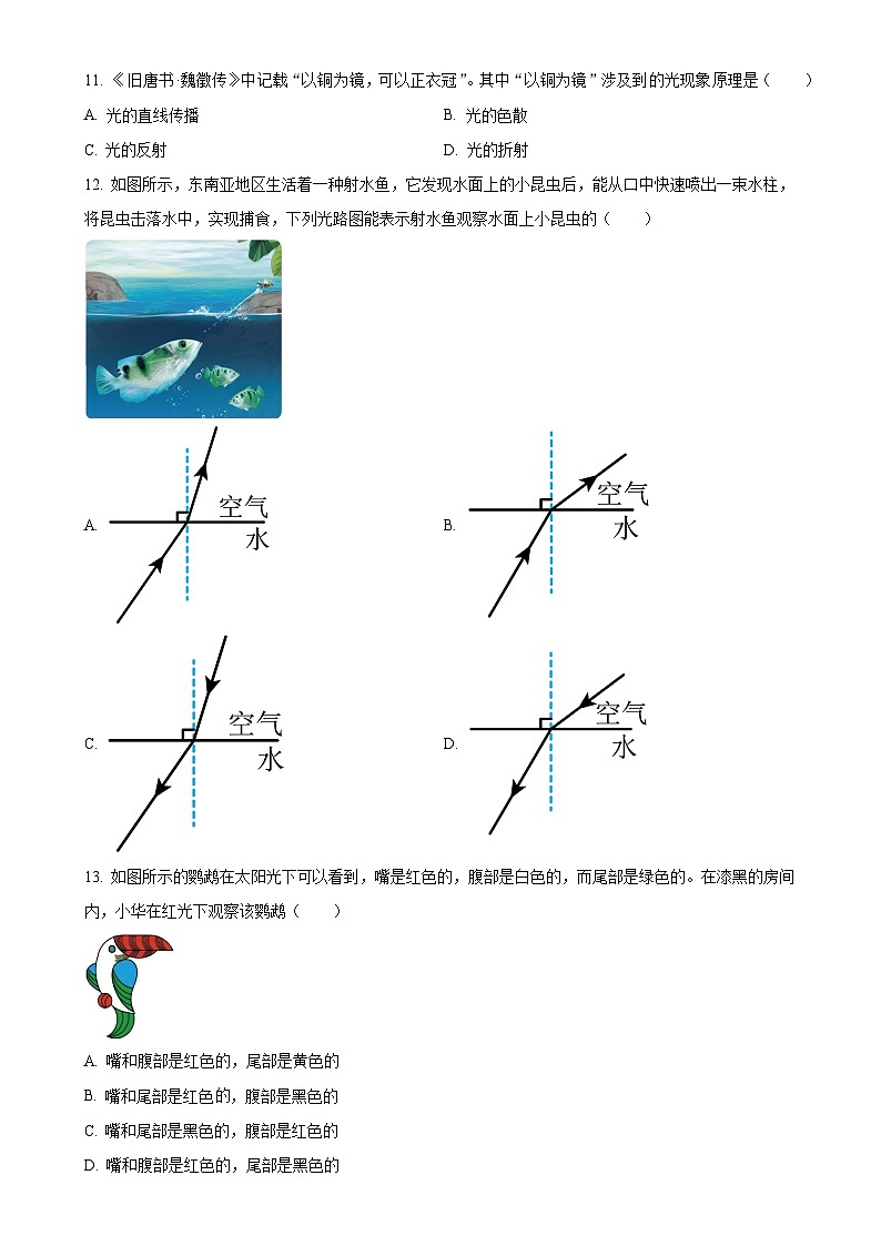 广西壮族自治区贵港市平南县八年级上学期11月期中物理试题（原卷版）-A4第3页