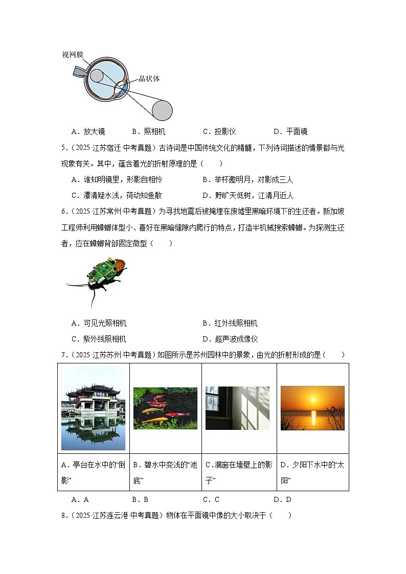 江苏省12地市2025年中考物理真题按难易度分层专题训练-20光现象基础题第2页