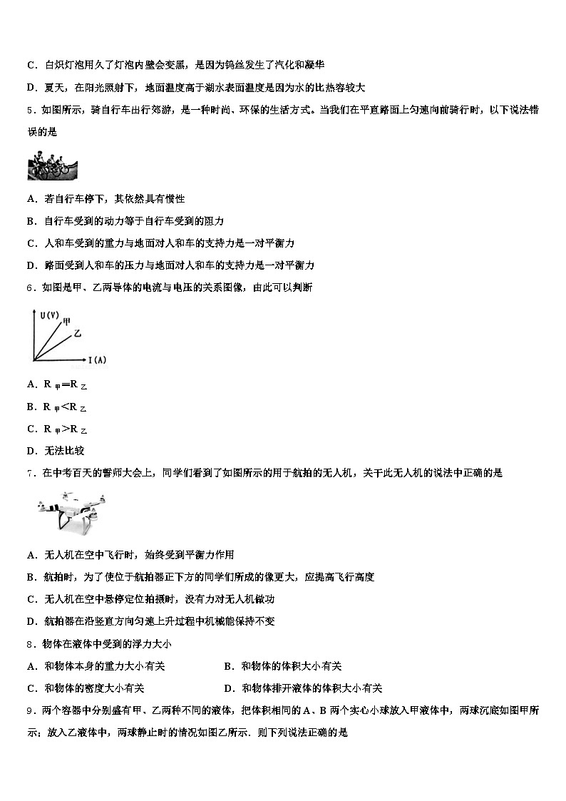 2025-2026学年辽宁省朝阳市中考物理押题卷（含答案解析）第2页