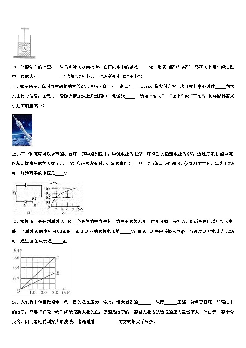 2026届甘肃省定西市中考物理模拟预测题（含答案解析）第3页