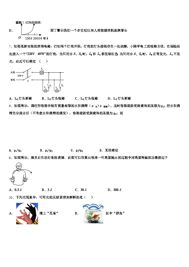遂宁市2025-2026学年中考物理全真模拟试卷（含答案解析）第3页