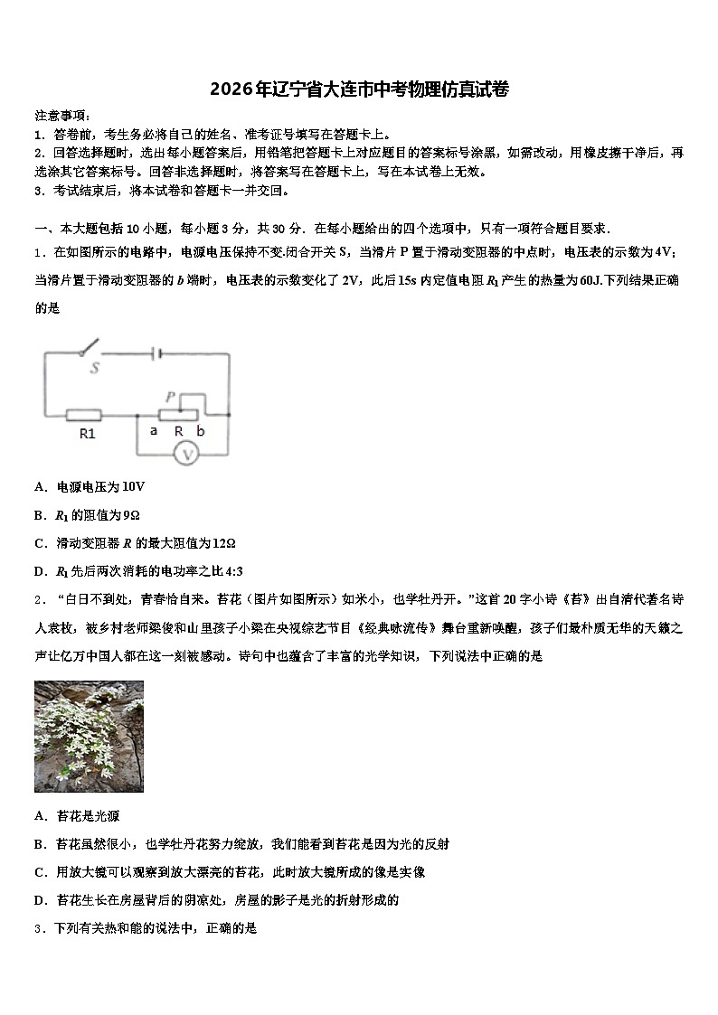 2026年辽宁省大连市中考物理仿真试卷（含答案解析）第1页