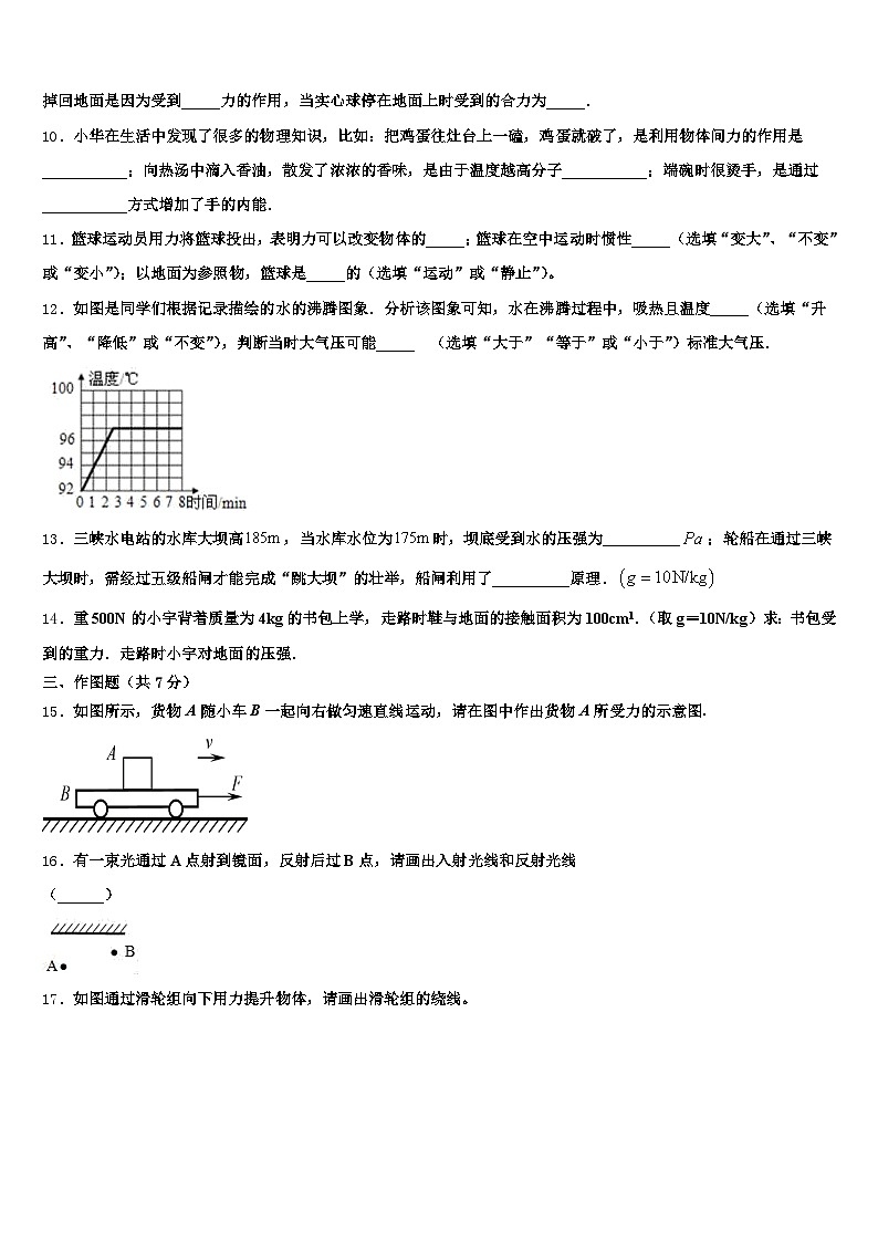 2025-2026学年新疆维吾尔自治区克拉玛依市中考三模物理试题（含答案解析）第3页