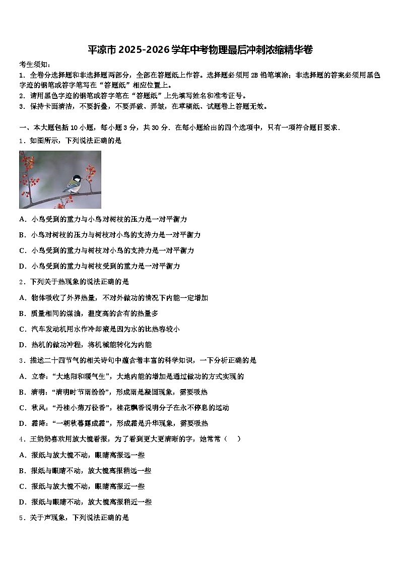 平凉市2025-2026学年中考物理最后冲刺浓缩精华卷（含答案解析）第1页