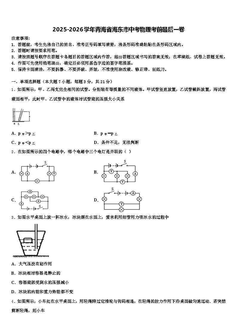 2025-2026学年青海省海东市中考物理考前最后一卷（含答案解析）第1页