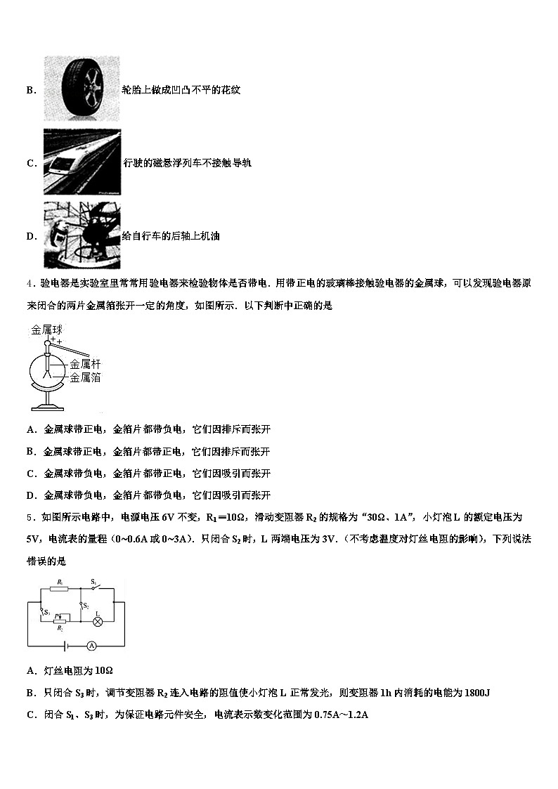 湖南省株洲市2025-2026学年中考物理猜题卷（含答案解析）第2页