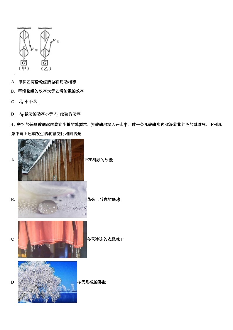 河北省衡水市2026年中考物理最后冲刺模拟试卷（含答案解析）第2页