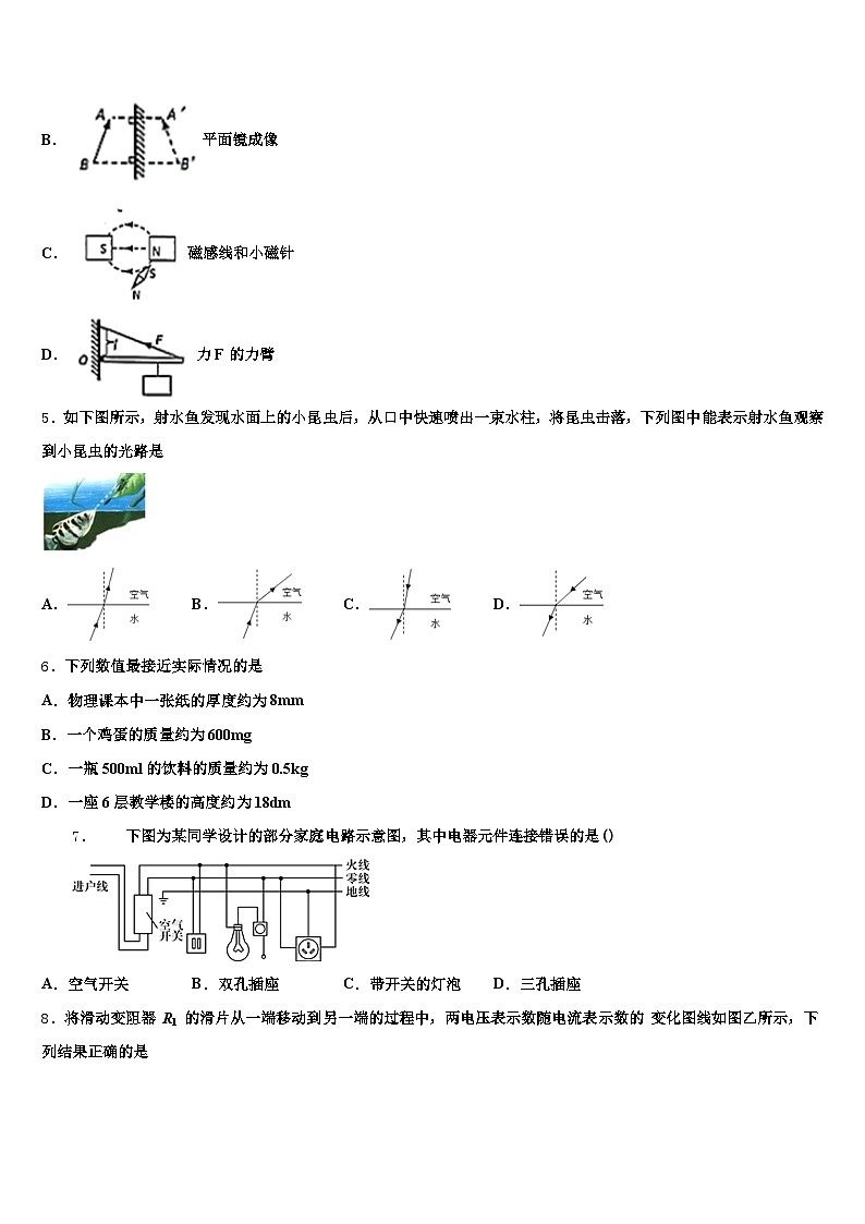 2025-2026学年浙江省丽水市中考物理考前最后一卷（含答案解析）第2页