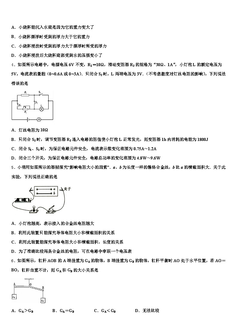 2025-2026学年忻州市中考物理押题试卷（含答案解析）第2页