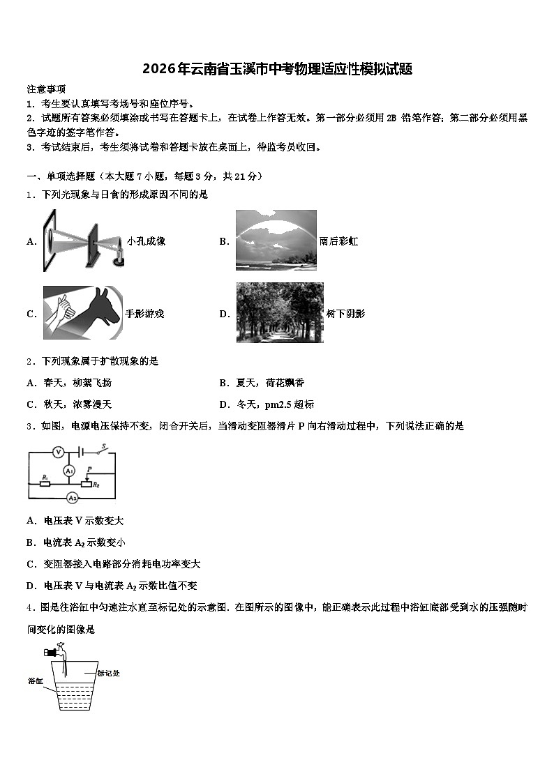 2026年云南省玉溪市中考物理适应性模拟试题（含答案解析）第1页