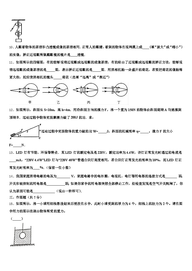 新疆维吾尔自治区昌吉回族自治州2026年中考猜题物理试卷（含答案解析）第3页