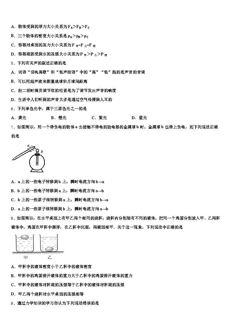 贵州省毕节市2025-2026学年中考物理猜题卷（含答案解析）第2页