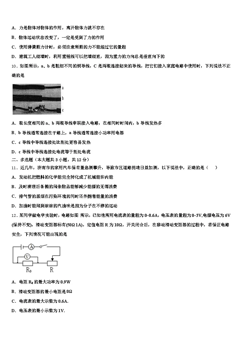 贵州省毕节市2025-2026学年中考物理猜题卷（含答案解析）第3页