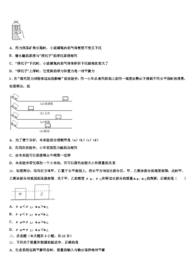2025-2026学年铜陵市中考猜题物理试卷（含答案解析）第3页