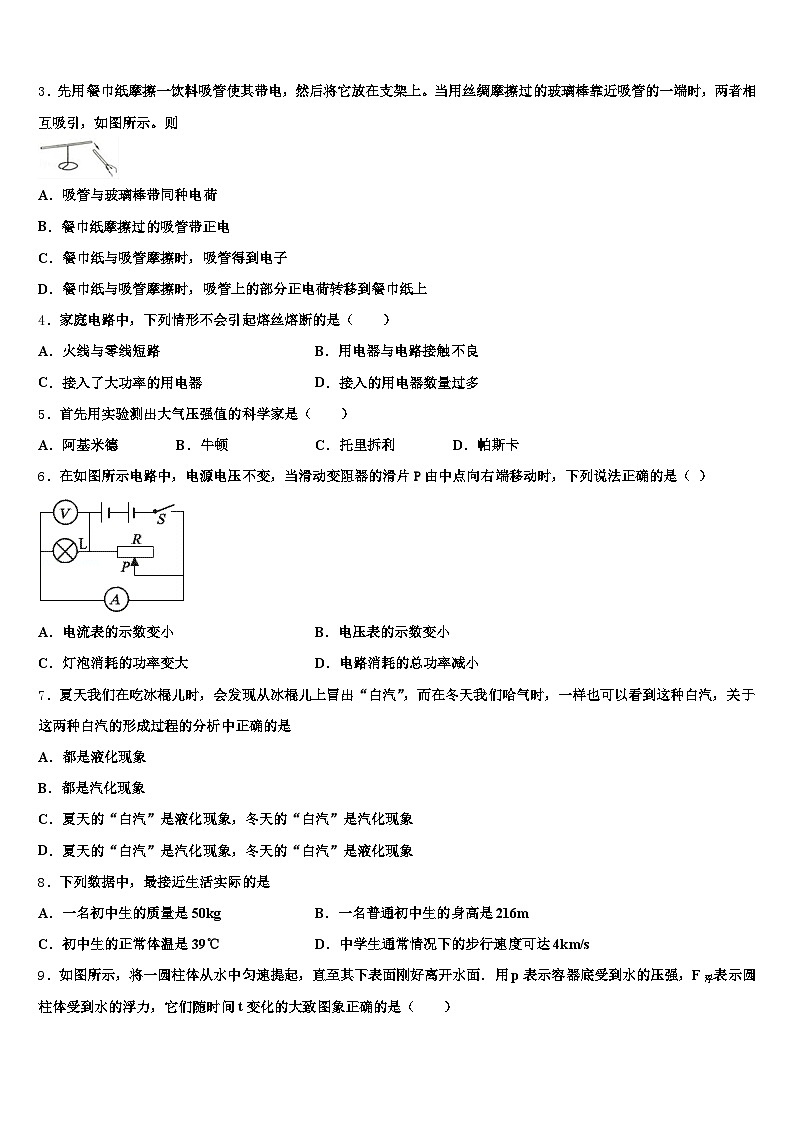 2026届青海省中考猜题物理试卷（含答案解析）第2页
