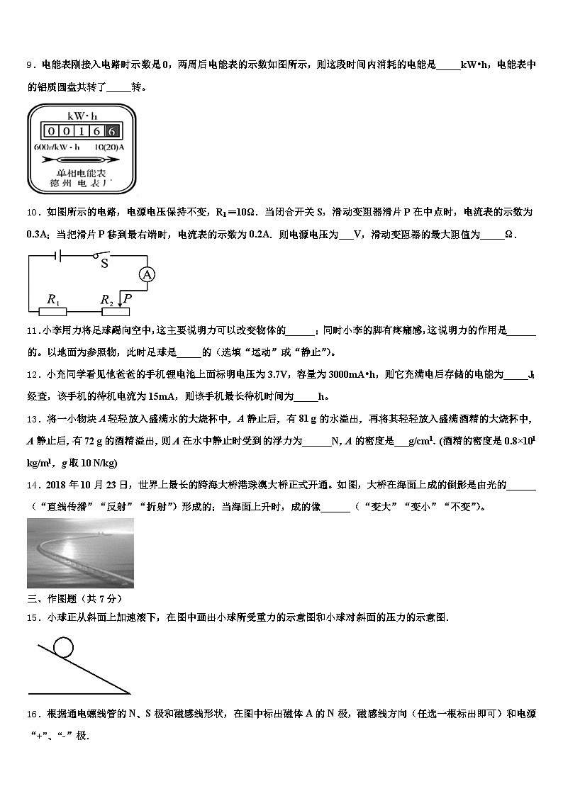 兰州市2025-2026学年中考冲刺卷物理试题（含答案解析）第3页