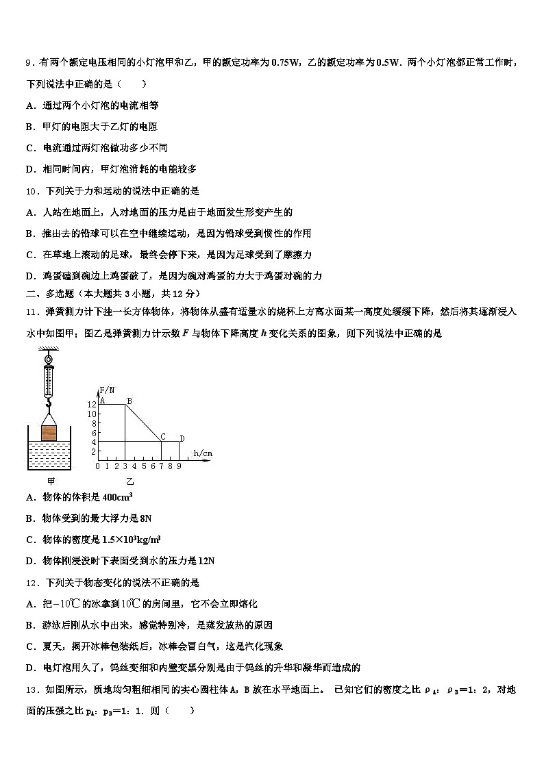 2025-2026学年孝感市中考物理全真模拟试题（含答案解析）第3页