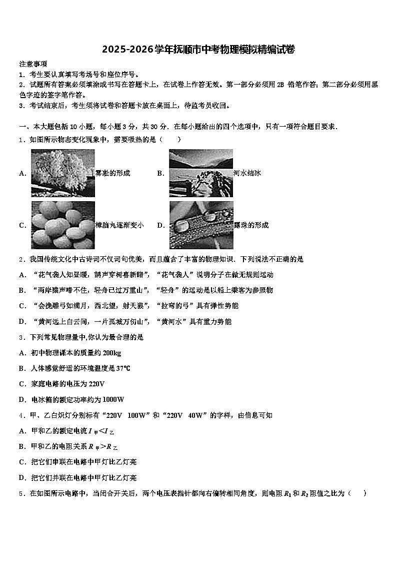 2025-2026学年抚顺市中考物理模拟精编试卷（含答案解析）第1页
