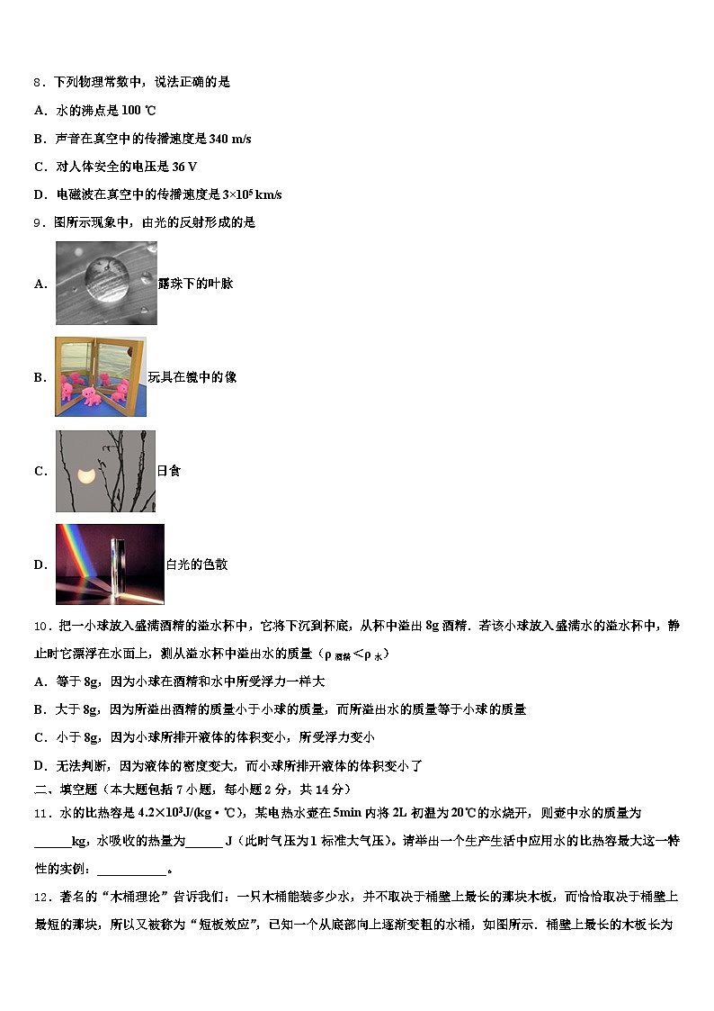 2025-2026学年抚顺市中考物理模拟精编试卷（含答案解析）第3页