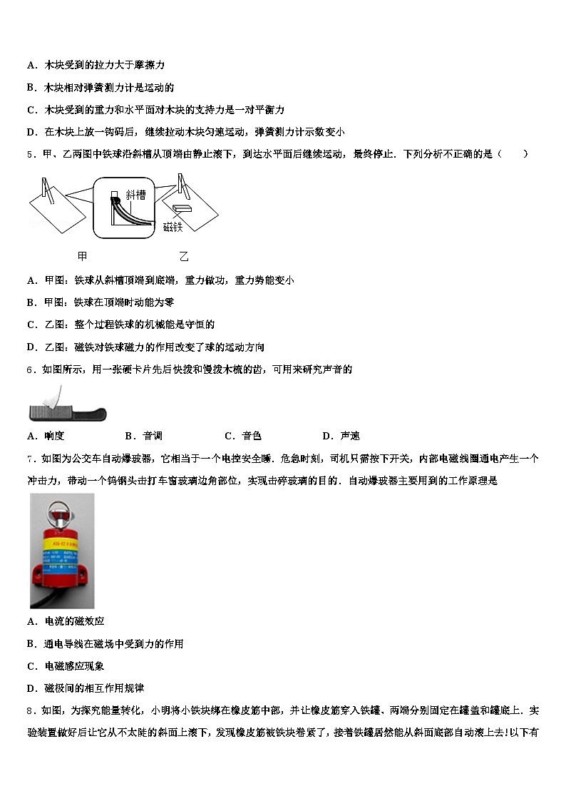 2025-2026学年江苏省连云港市中考联考物理试题（含答案解析）第2页