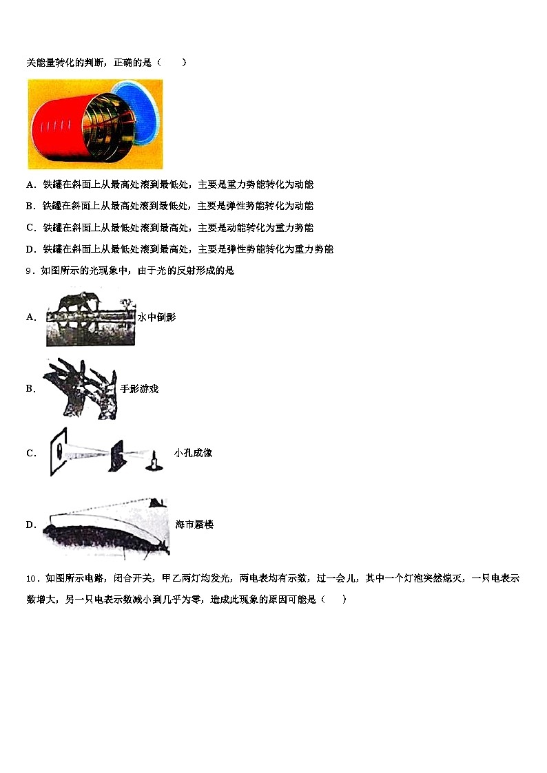 2025-2026学年江苏省连云港市中考联考物理试题（含答案解析）第3页