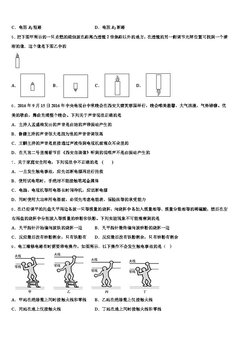 2025-2026学年江西省宜春市中考联考物理试卷（含答案解析）第2页