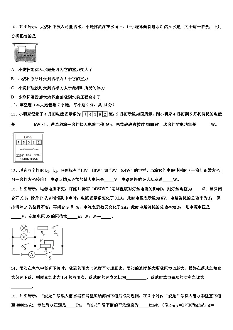 2025-2026学年江西省宜春市中考联考物理试卷（含答案解析）第3页