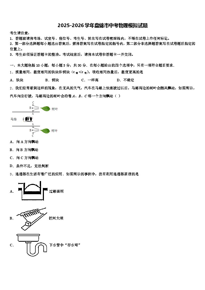 2025-2026学年盘锦市中考物理模拟试题（含答案解析）第1页