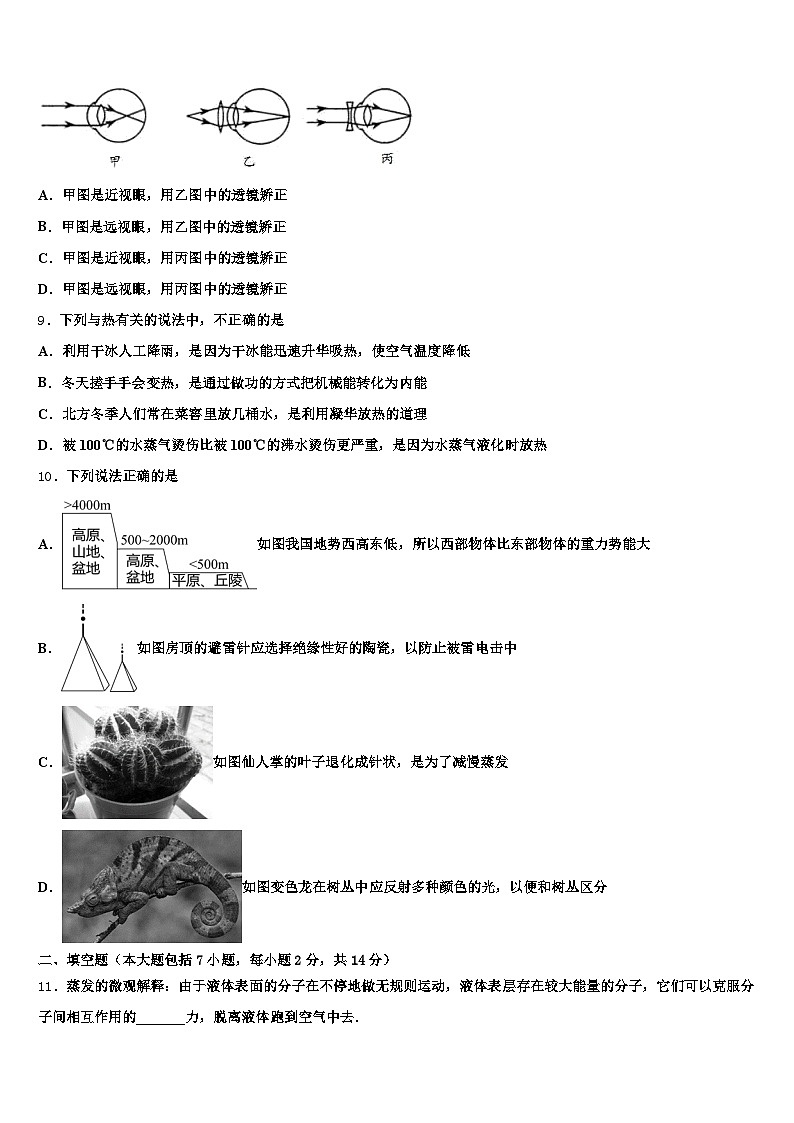 2026届海东市中考物理押题卷（含答案解析）第3页