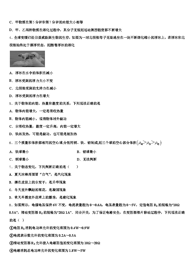 2026届湖南省永州市中考试题猜想物理试卷（含答案解析）第2页