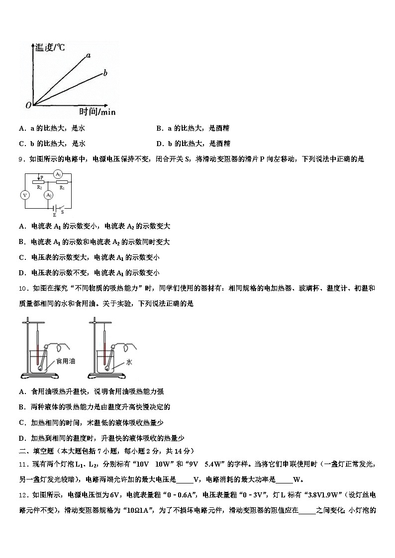 2026年四川省成都市中考物理押题卷（含答案解析）第3页