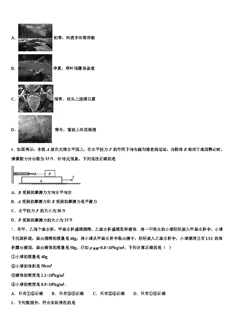 内蒙古自治区包头市2025-2026学年中考二模物理试题（含答案解析）第2页