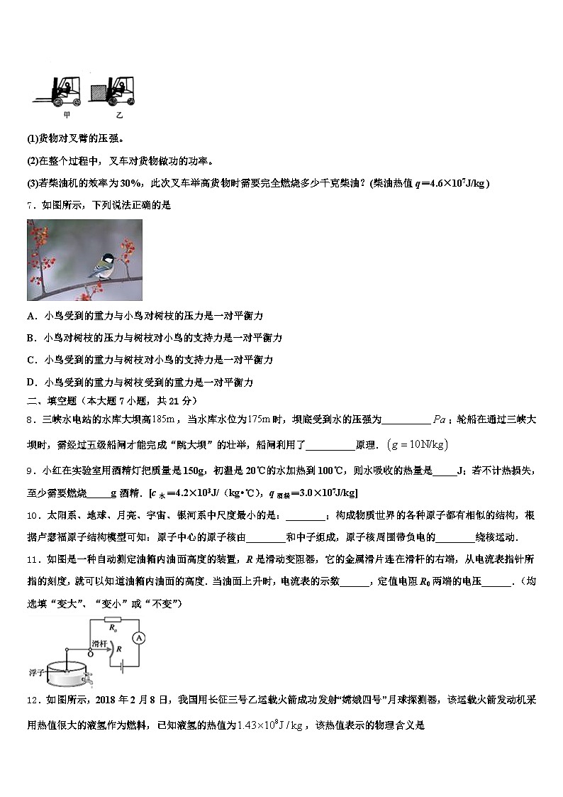 内蒙古自治区巴彦淖尔市2025-2026学年中考物理模拟预测题（含答案解析）第2页