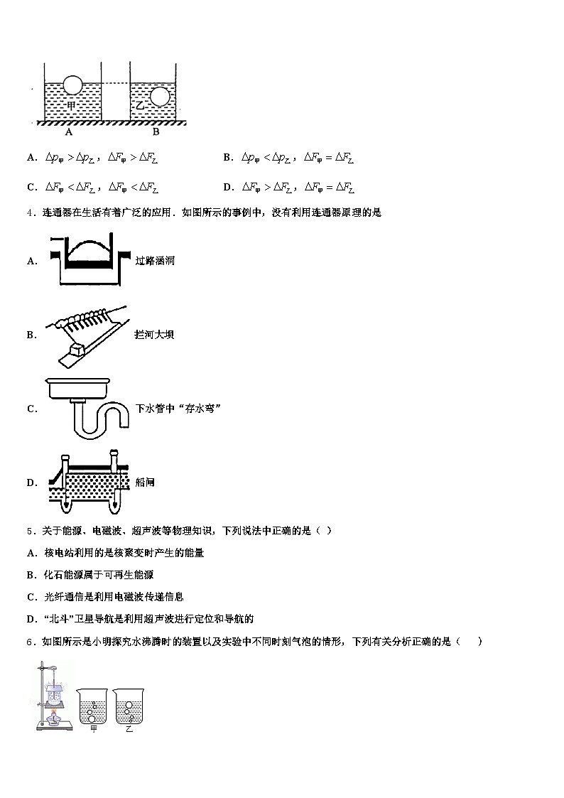 四川省眉山市2025-2026学年中考物理模拟预测试卷（含答案解析）第2页
