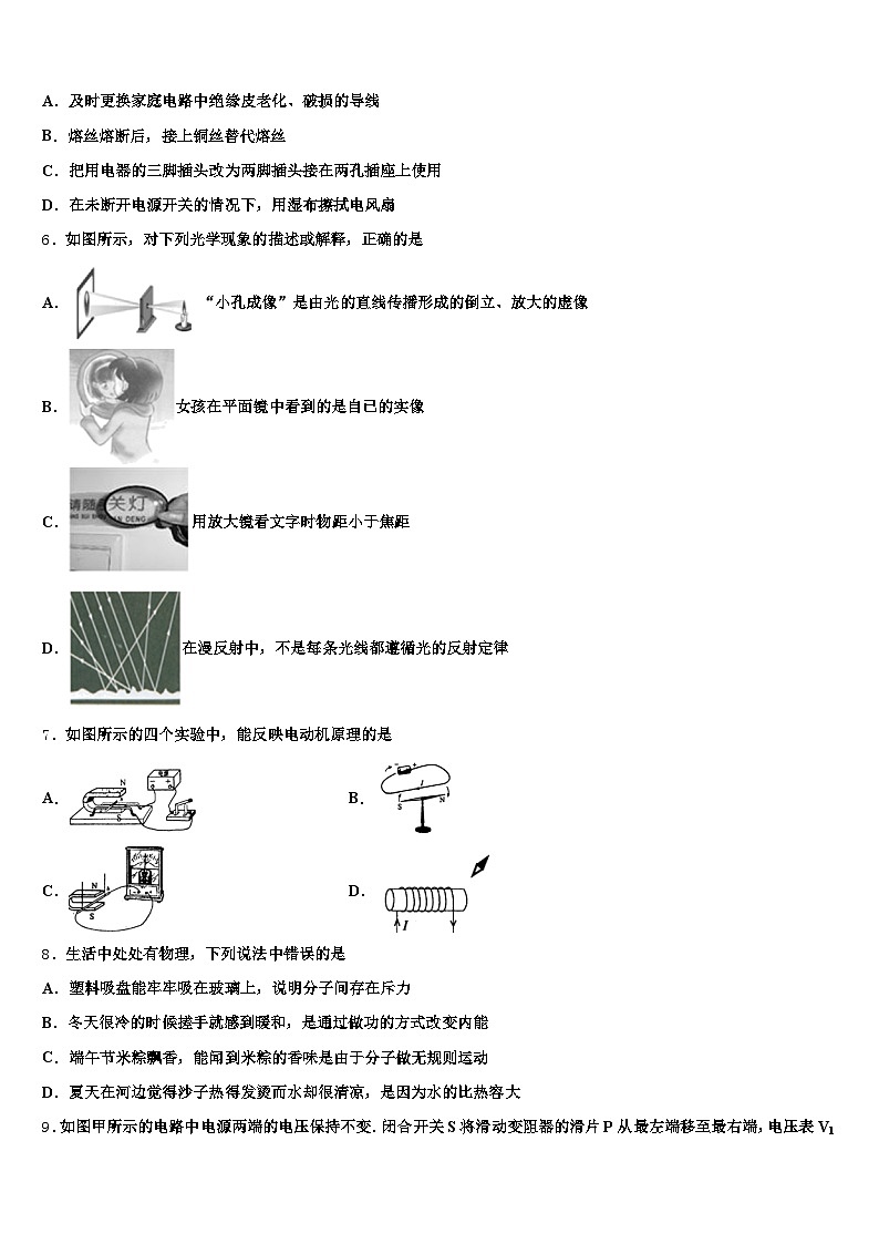 山东省临沂市2026年中考物理最后冲刺浓缩精华卷（含答案解析）第2页
