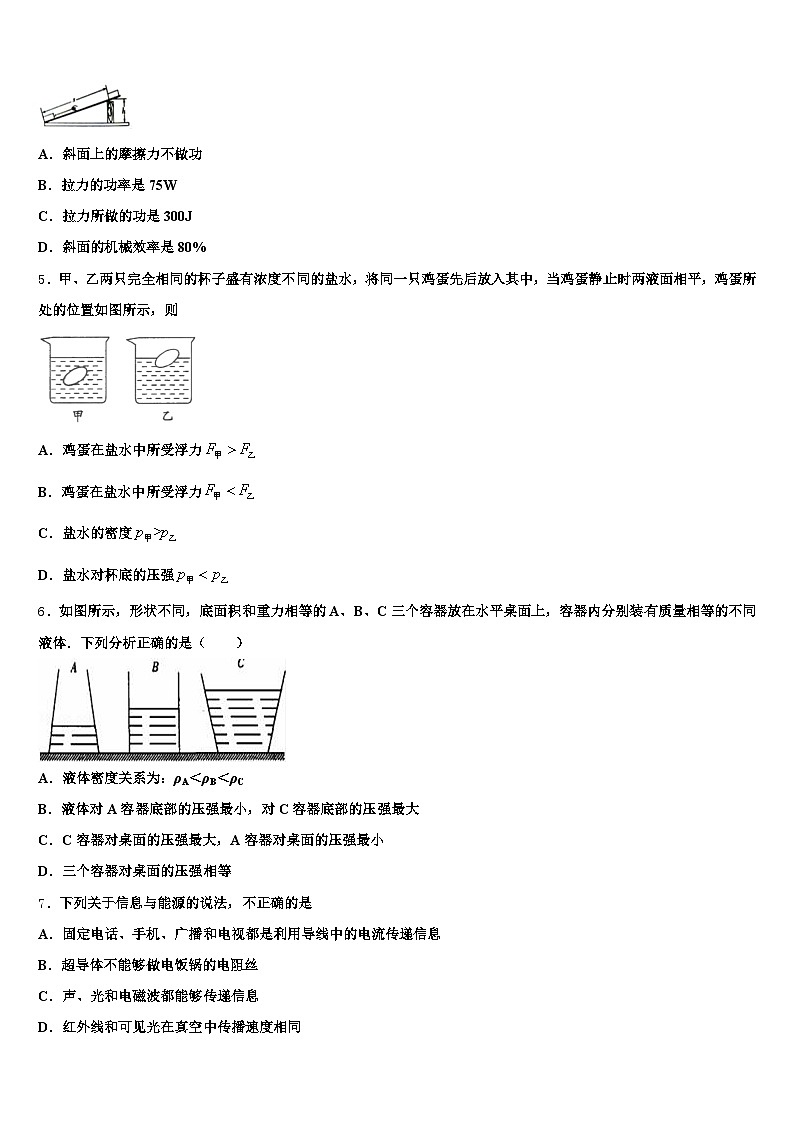 怀化市2025-2026学年中考三模物理试题（含答案解析）第2页
