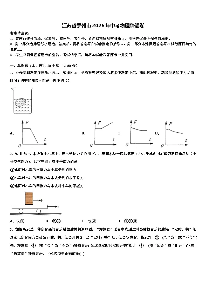 江苏省泰州市2026年中考物理猜题卷（含答案解析）第1页