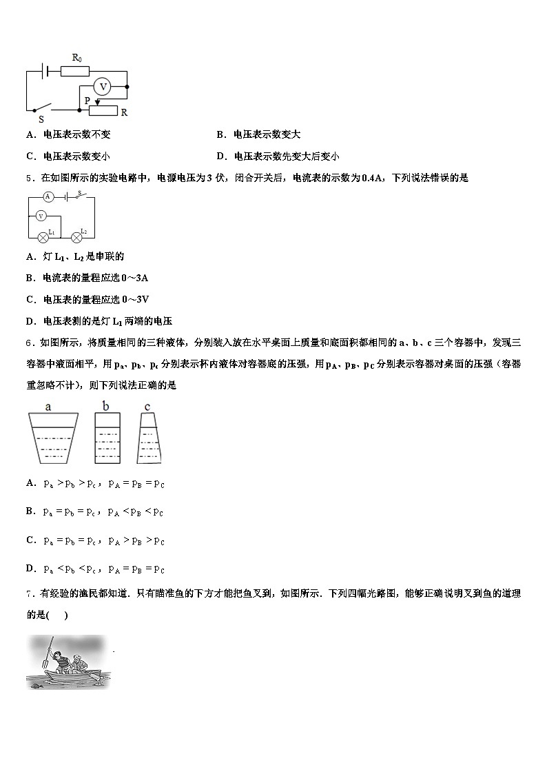 湖北省孝感市2026年中考联考物理试题（含答案解析）第2页