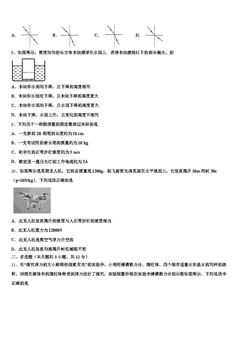 湖北省孝感市2026年中考联考物理试题（含答案解析）第3页