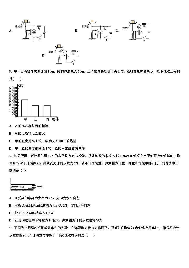 福建省莆田市2026年中考四模物理试题（含答案解析）第2页